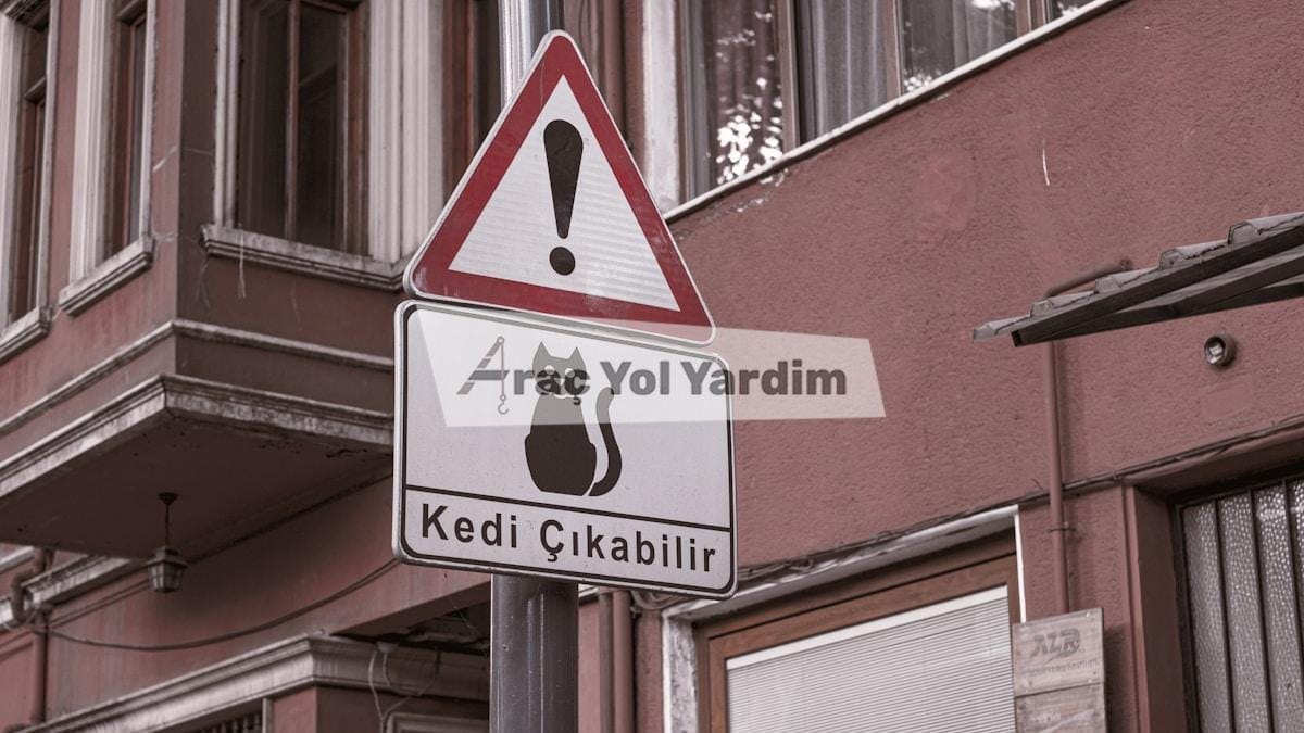 2026 Trafik Sigortası Rehberi: Uzman Tavsiyeleri ve Fiyat Karşılaştırması 1 2026 trafik sigortası