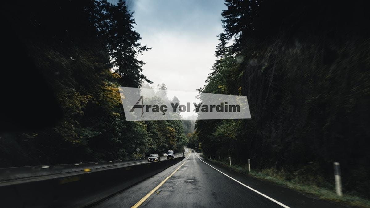 2026 Yaz Sürüş Güvenliği: Yaban Hayatı ve Sıcak Çarpması Önlemleri 1 yaz sürüş güvenliği