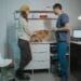 7/24 veteriner Küçükçekmece - Küçükçekmece'de 7/24 Açık Veteriner Klinikleri 2026
