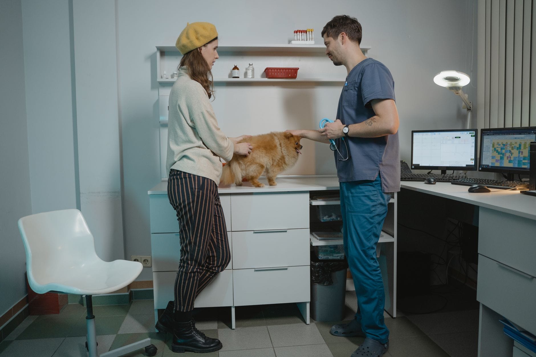 7/24 veteriner Küçükçekmece – Küçükçekmece’de 7/24 Açık Veteriner Klinikleri 2026